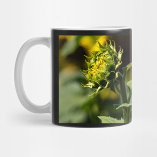 Sunflower Awakening Mug